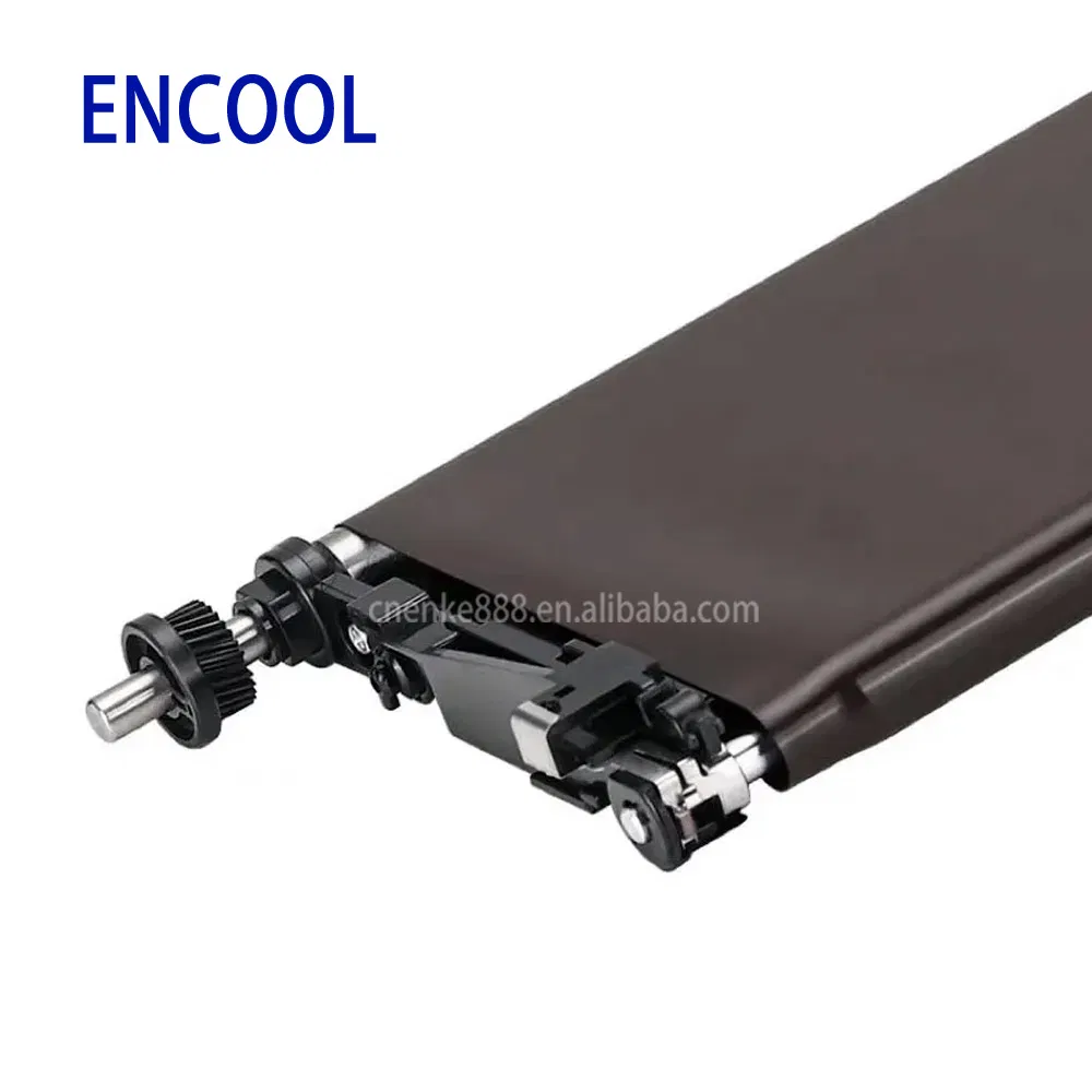 Transfer Belt Assembly 6