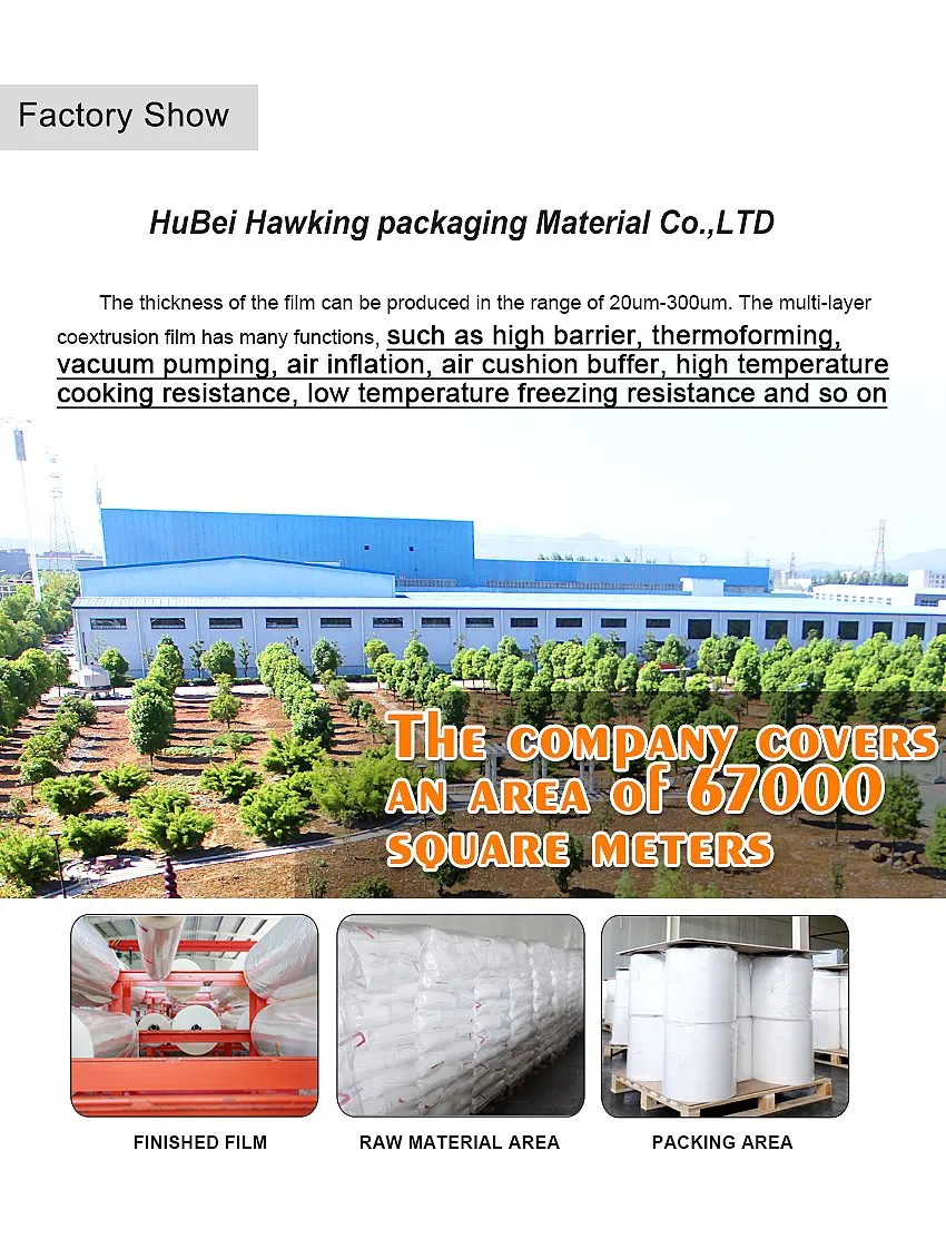 Packaging Solutions 11