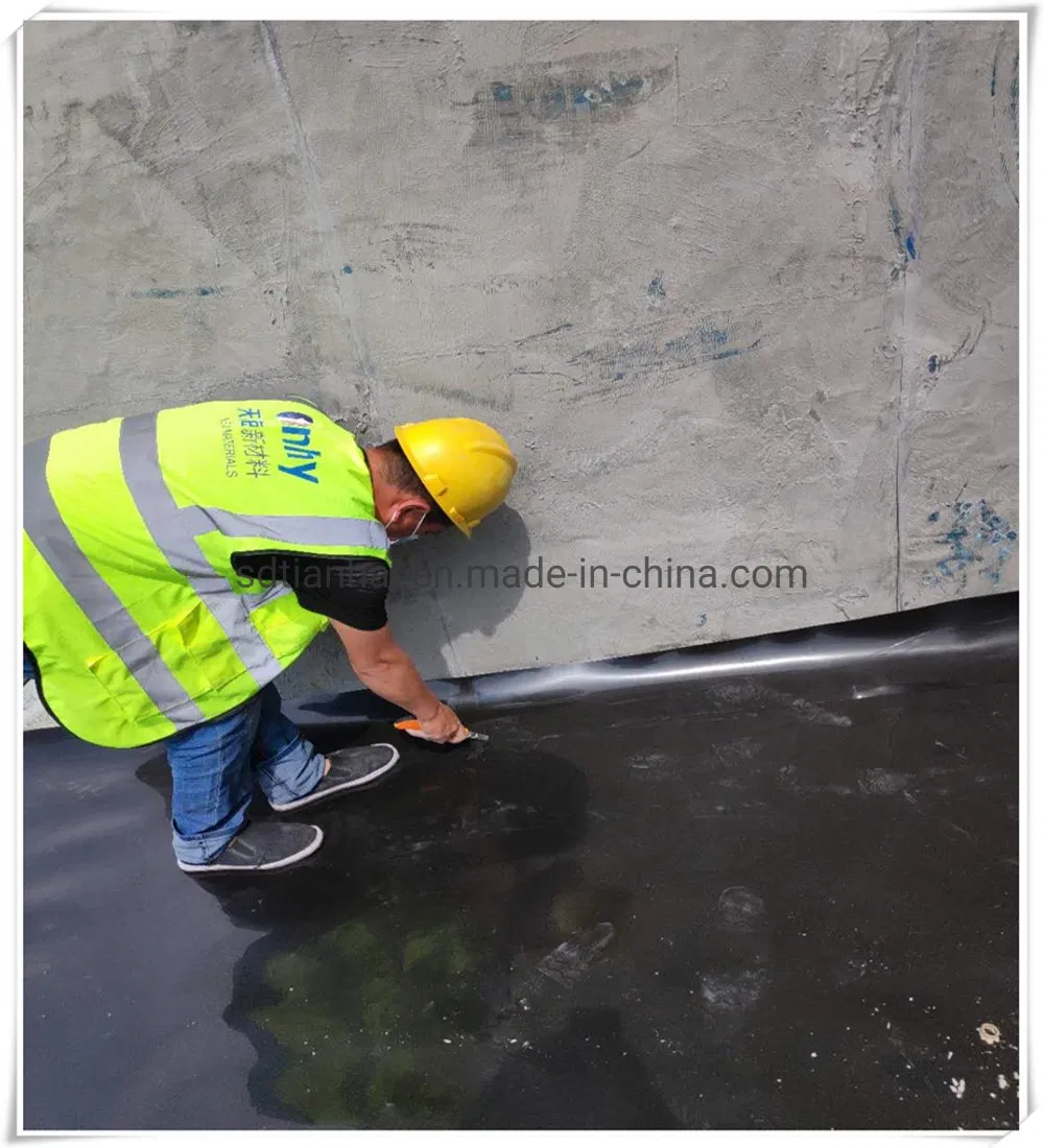 Liquid Containment L HDPE Liners 1.0mm/40mils in Black/0.75mm HDPE Liner/Pond Liner for Prawn Farm