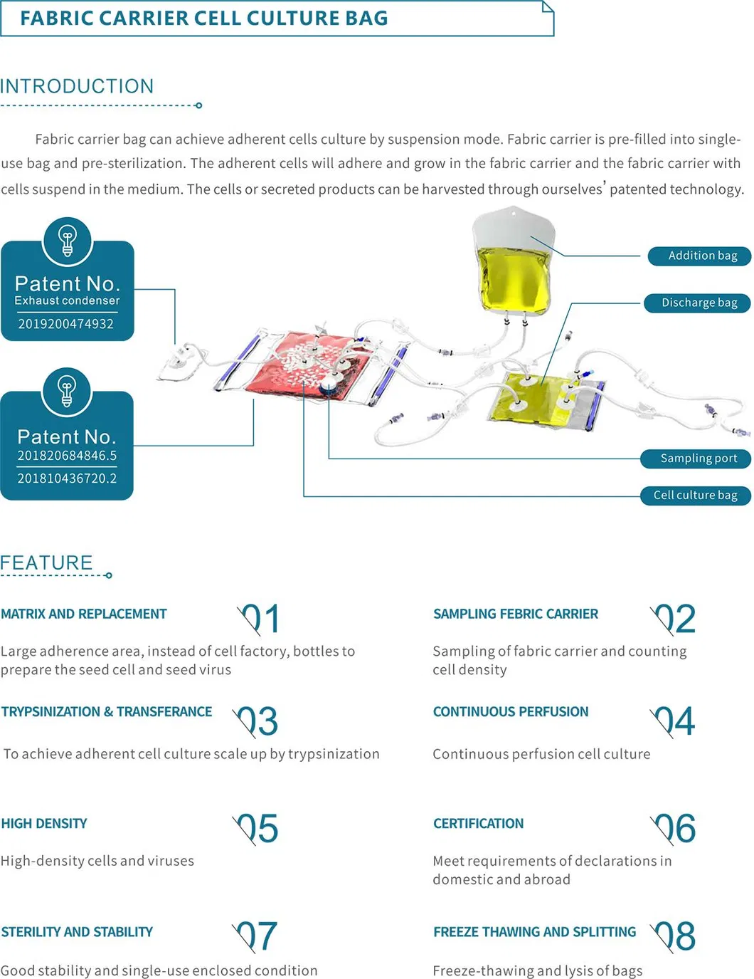 Rocker Bioreactor System