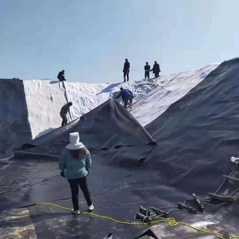Customizable Geomembrane Fish Pond Liner for Various Pond Sizes Fish Hatchery Ponds, Lake Bottom Lining and Water Containment