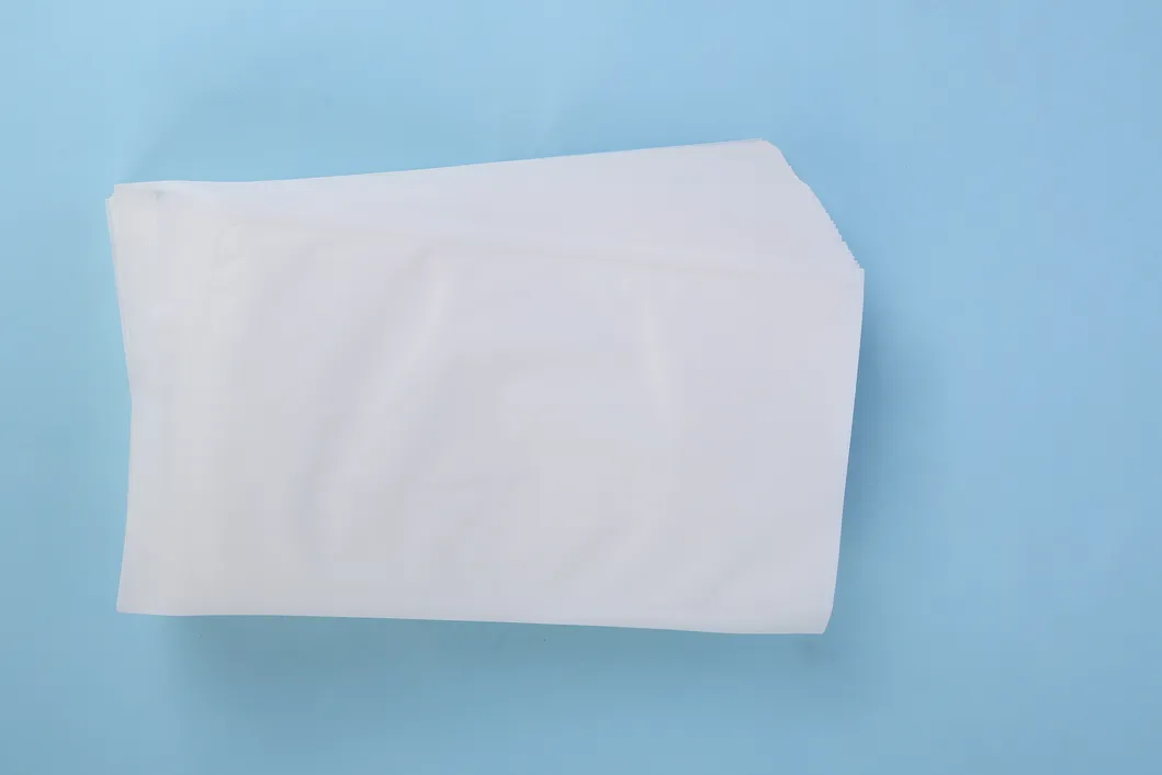 Sterilization Pouch Detail 1