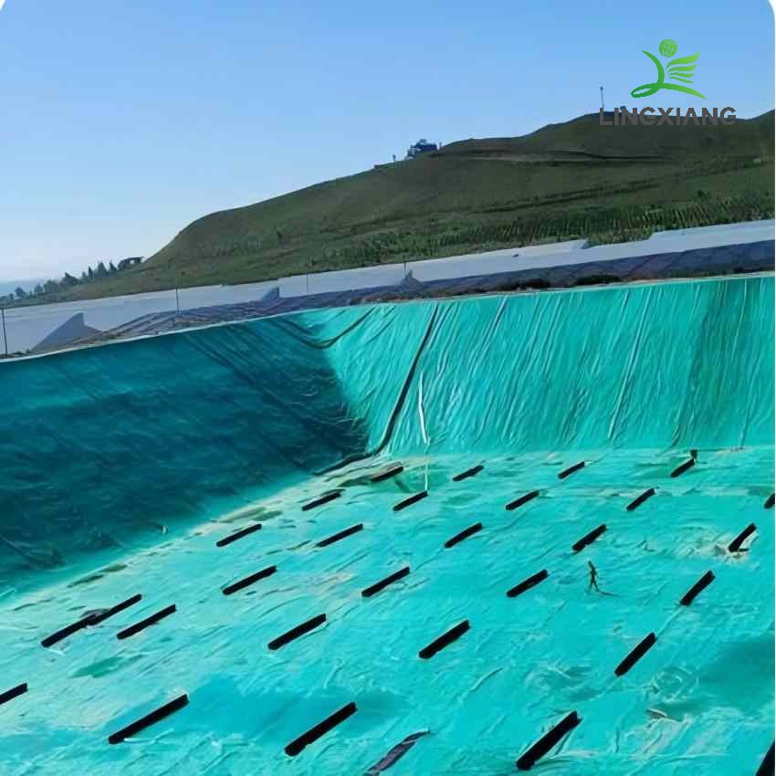 High-Quality Biogas Pond Liner for Reliable Agricultural Waste Containment Dam Landfill Lake Biogas Mining Fish Shrimp Farm Pond Liner Swimming Pool Agricultura