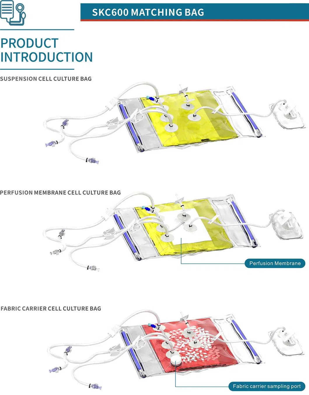 Rocker Bioreactor Bag