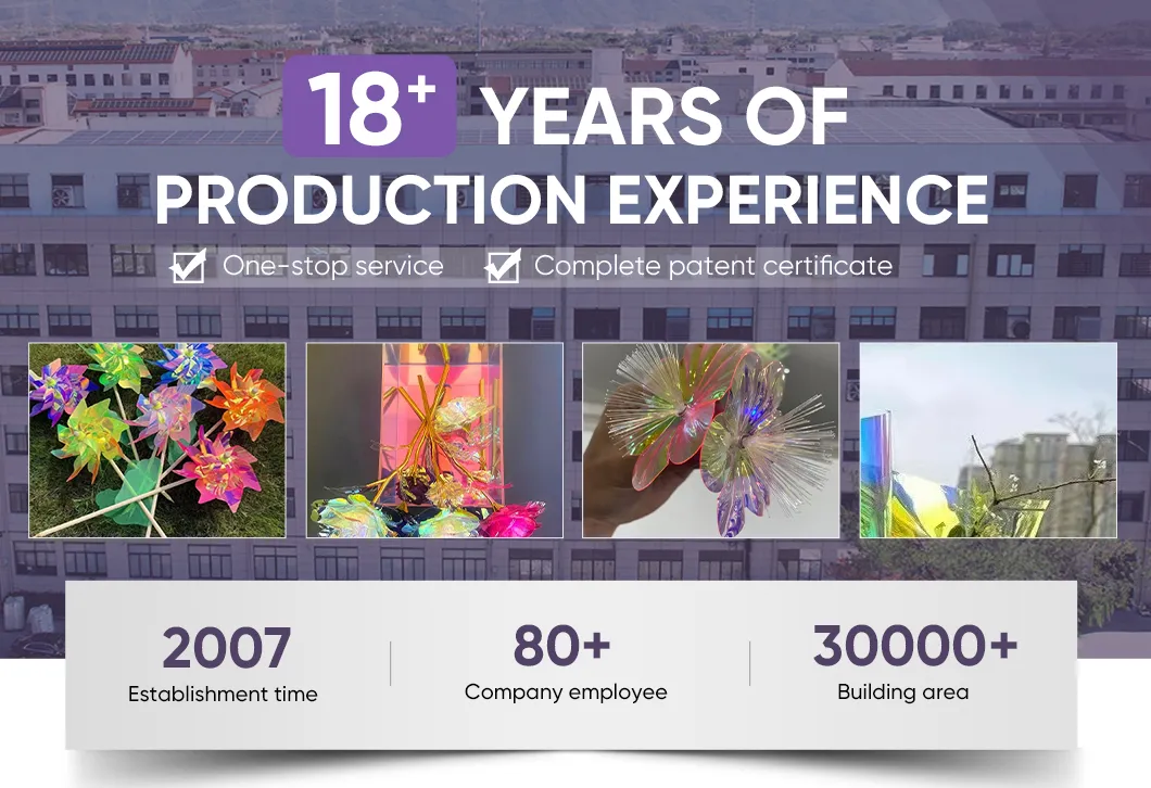 Rainbow Film Overview