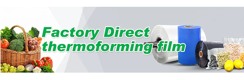 Thermoforming Film Display 1