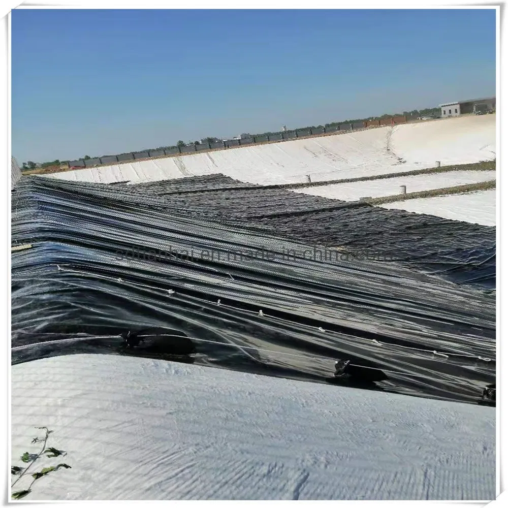 Liquid Containment L HDPE Liners 1.0mm/40mils in Black/0.75mm HDPE Liner/Pond Liner for Prawn Farm