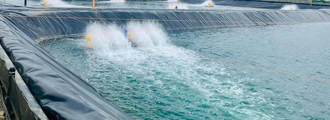 Aquaculture Industry