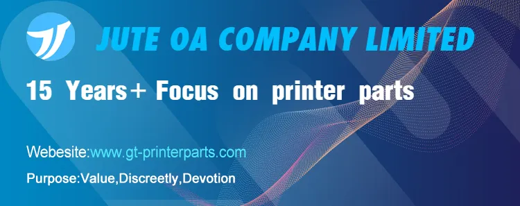 Transfer Belt Assembly