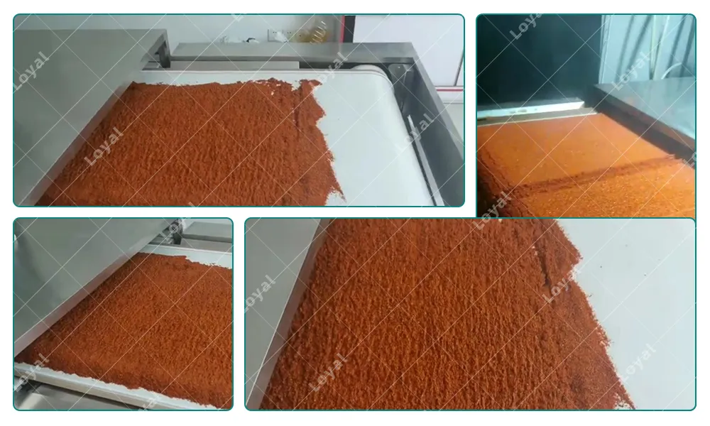 Microwave Equipment Details