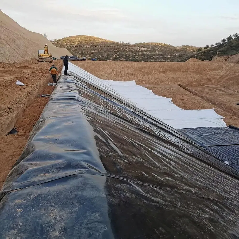 Fish Farm Pond Landfill 1mm/1.5mm/2.0mm Waterproof HDPE Geomembrane Manufacturer Pond Liner for Landfill Dam Water Containment