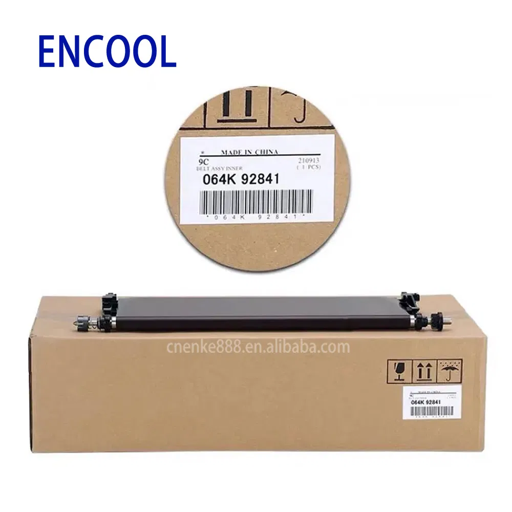 Transfer Belt Assembly 2