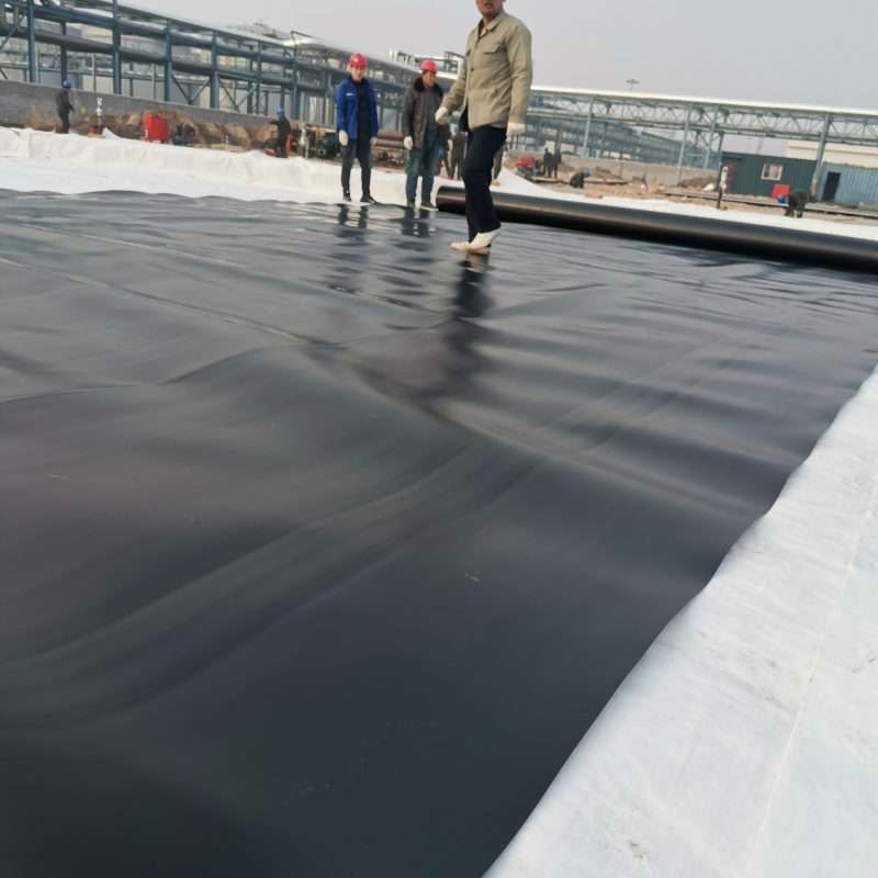 Industrial Grade Geomembrane Liner for Large-Scale Aquaculture, Shrimp Farming Ponds &amp; Fish Containment Areas