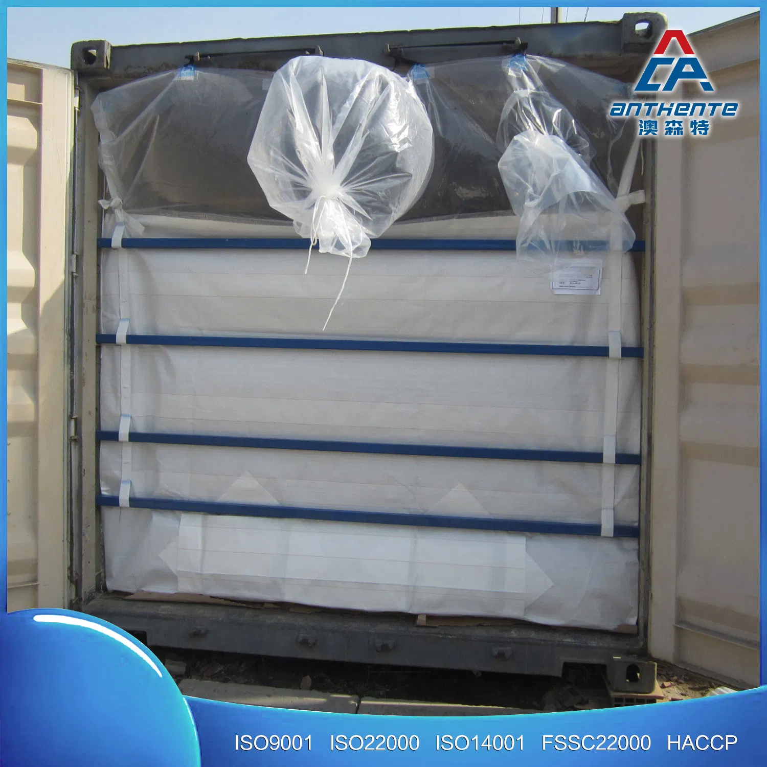 20′ Gp PP/PE Container Liner for Granule and Powder Cargo in Chemical and Food Industry
