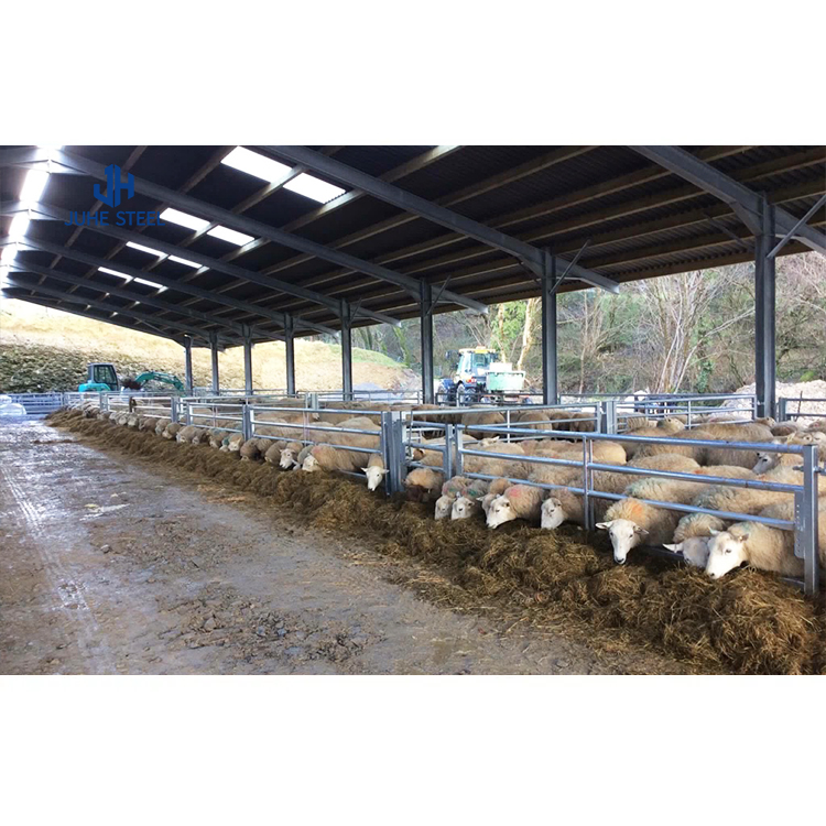 Goat Sheep Steel Structure Farmhouse