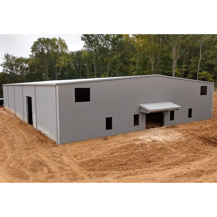 Sturdy &amp; Durable Industrial Design Steel Structure For Construction Sandwich Panel Material Workshop Building