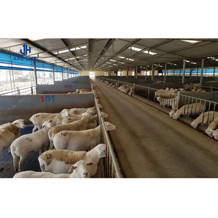Goat Sheep Steel Structure Farmhouse