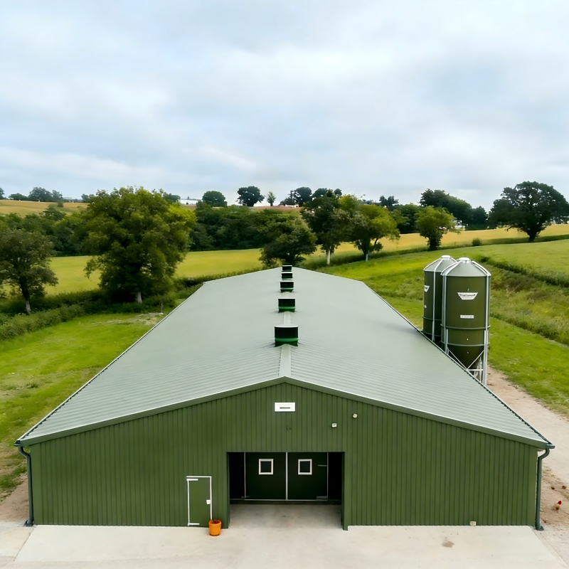 Modern Farm House Steel Structure Layer House High-Strength Hot-Dip Galvanized Steel Frame Customized for Egg Chicken Breeding