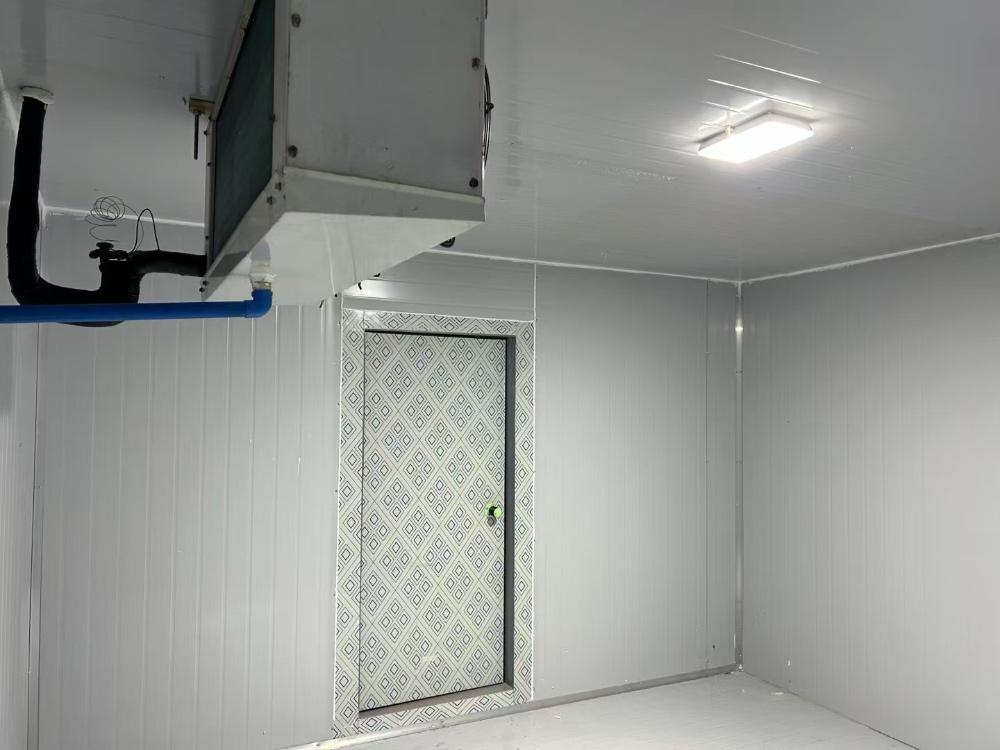 Project in Malaysia