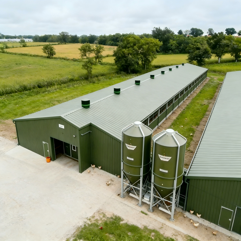 Modern Farm House Steel Structure Layer House High-Strength Hot-Dip Galvanized Steel Frame Customized for Egg Chicken Breeding