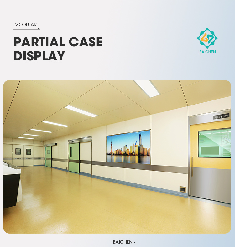 Electrolytic Steel Sheet Wall Integration