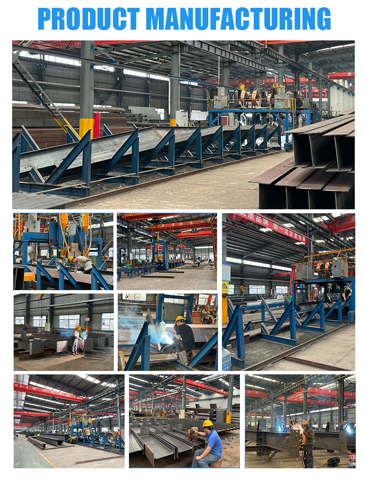 Steel Structure Project 1