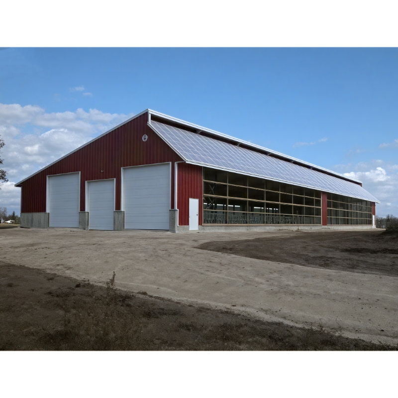 High-quality Low-cost Modern Prefabricated Steel Structure Cowshed With 1 Year Warranty