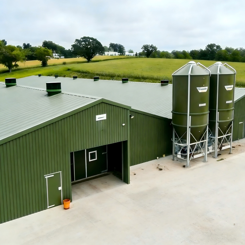 Modern Farm House Steel Structure Layer House High-Strength Hot-Dip Galvanized Steel Frame Customized for Egg Chicken Breeding