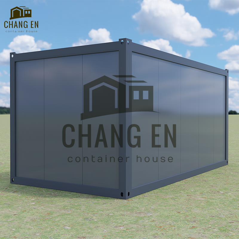 DYCE1 20ft/40ft Single Container Office Steel Structure Camp Building Aircon Modern Design for Hotel/Villa Use House Kitchen