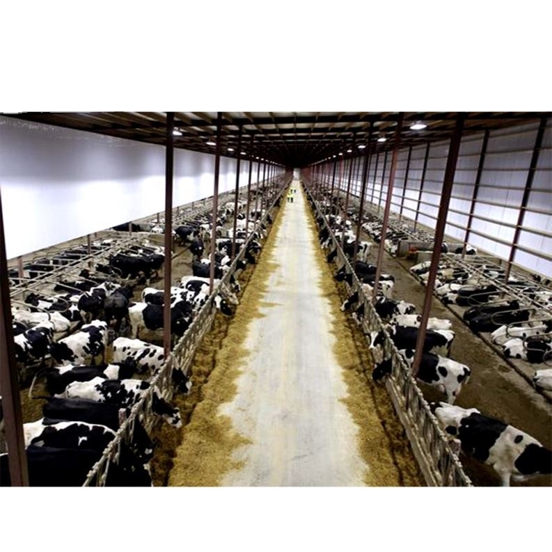 Modern Eco-friendly Prefabricated Steel Structure Farmhouse Shed Livestock House for Cattle Sheep Horses and Pigs