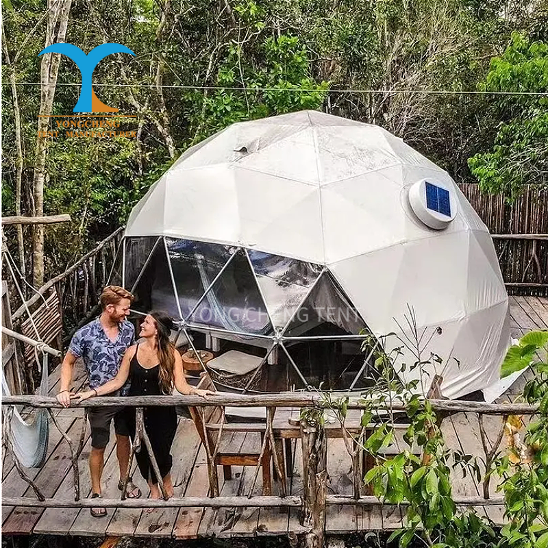 Foerstine Modern Clear Glass Greenhouse Luxury Glamping Tent Steel Frame Geodesic Dome Four-Season Waterproof PVC Fabric