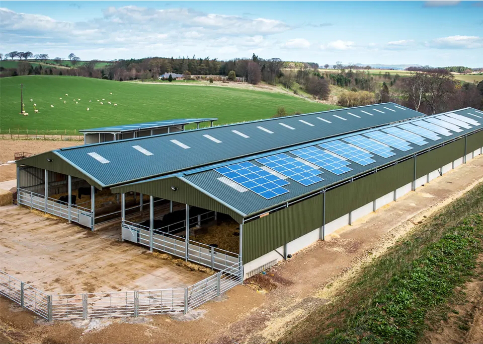 Goat Sheep Steel Structure Farmhouse