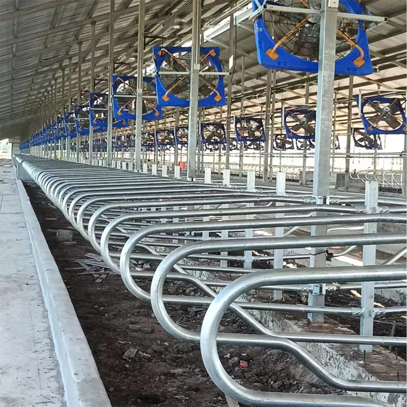 Stall Layout 1