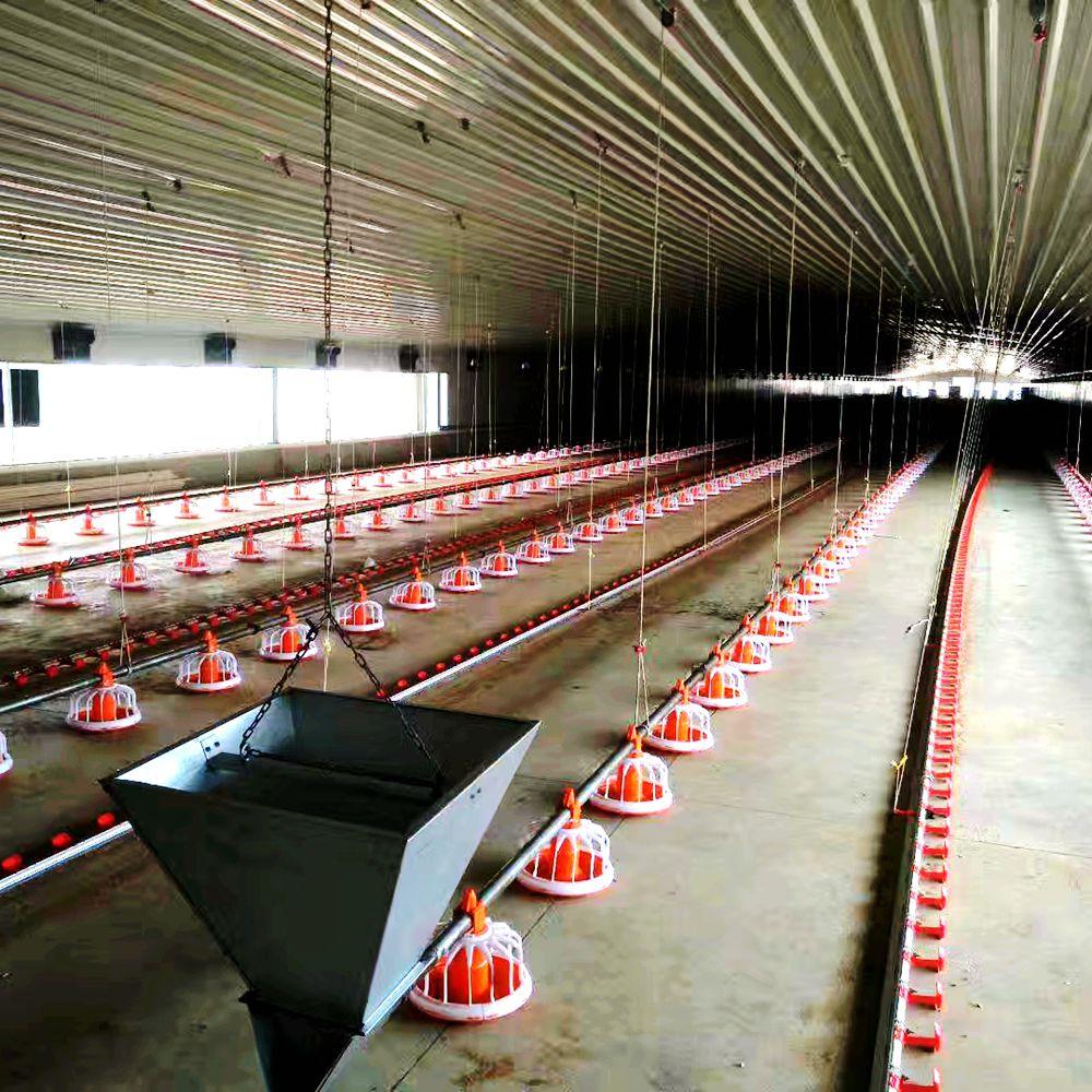 Modular Frame Chicken Poultry/Cow Farm House Prefabricated Light Steel Design Farmhouse Style Chicken House Grade 14 Wind