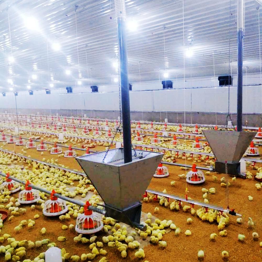 Modular Frame Chicken Poultry/Cow Farm House Prefabricated Light Steel Design Farmhouse Style Chicken House Grade 14 Wind