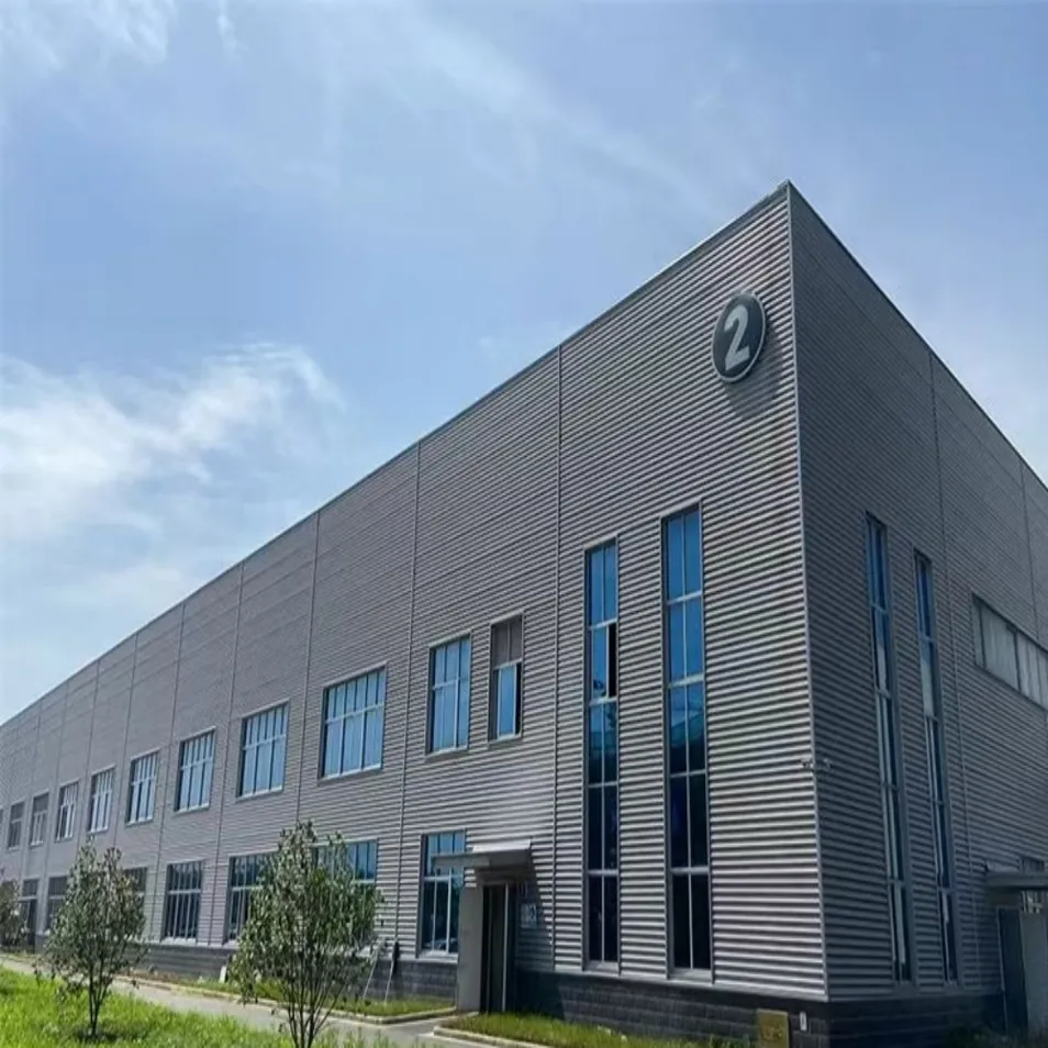 Custom Steel Structure Government Office Building