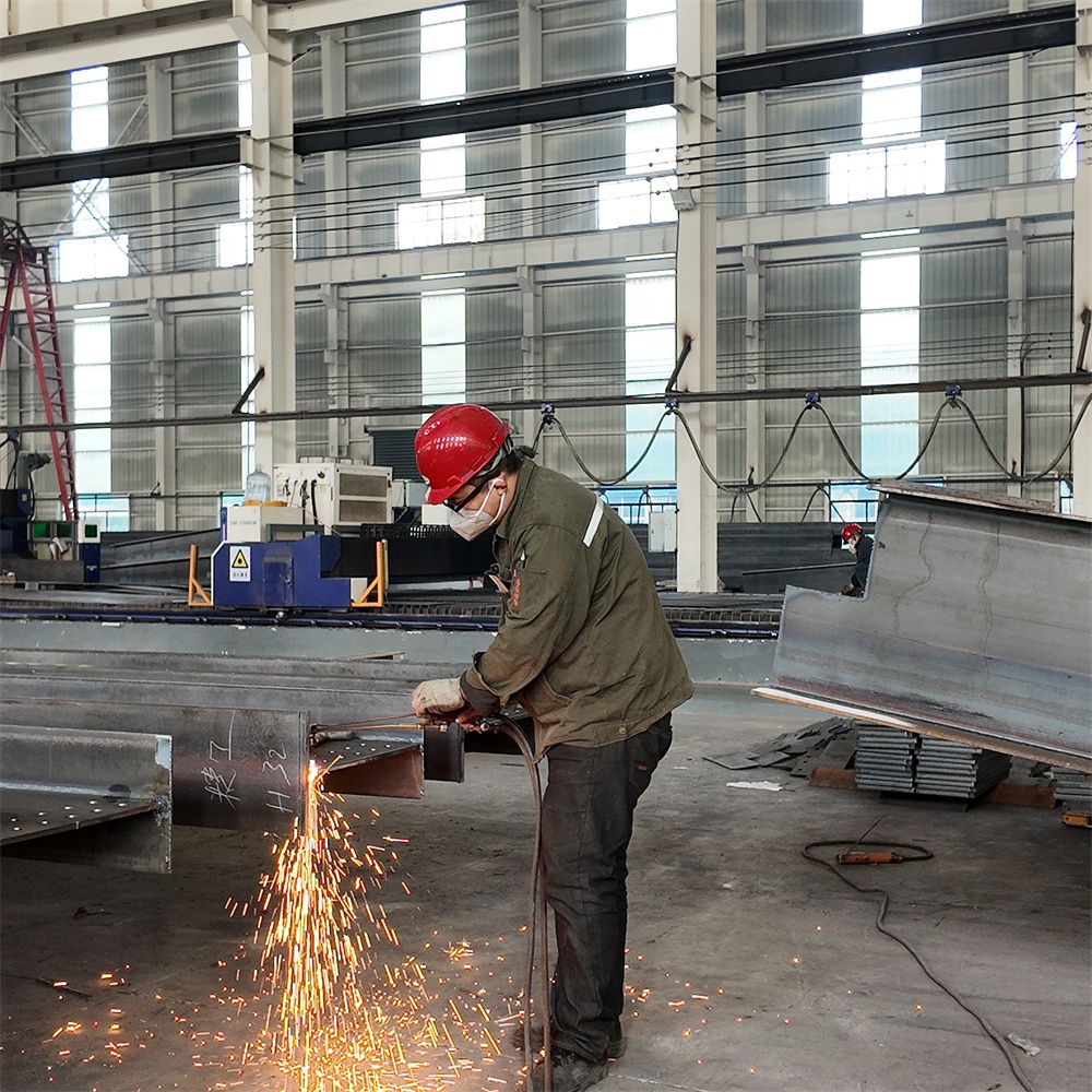 Steel Structure House &amp; Farmhouse Building with Craftsman Design and 5 Year Warranty