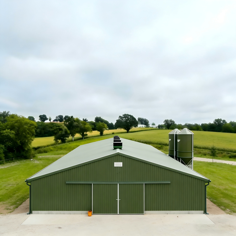 Modern Farm House Steel Structure Layer House High-Strength Hot-Dip Galvanized Steel Frame Customized for Egg Chicken Breeding