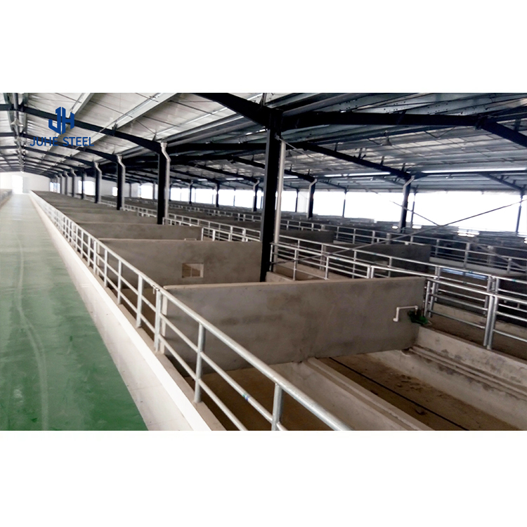 Livestock Shed Layout