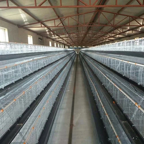 Modern Farmhouse Design Chicken House New Cheap Steel Chicken Farmhouse with Sheds Poultry Farm Shed Building Sale