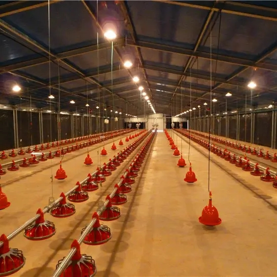 New Design Chicken and Cow Farm House Low-Cost Quick Assembly Prefab Steel Structure Light Farmhouse for Agricultural Use