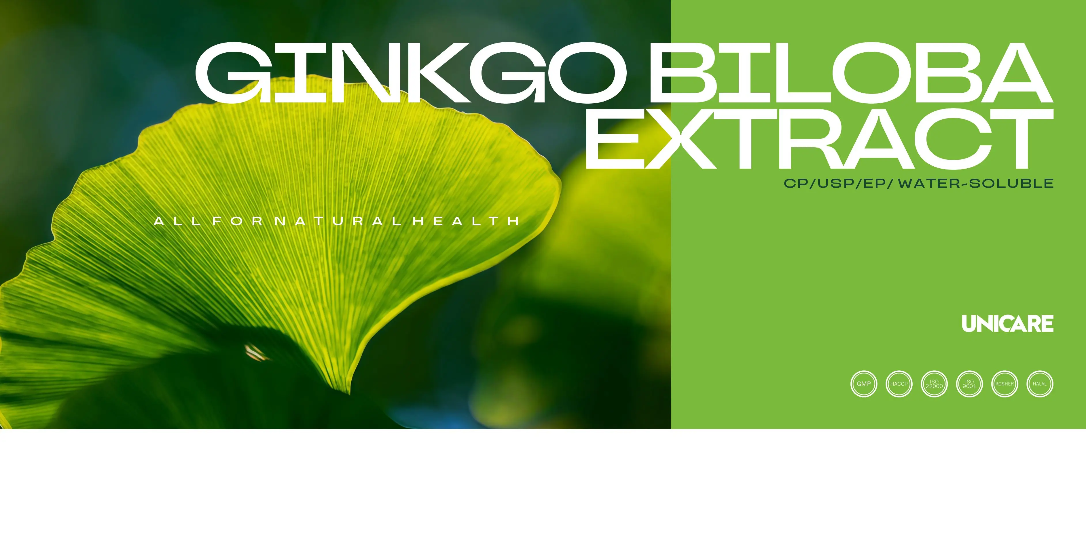 Ginkgo biloba, Rhodiola rosea and Panax ginseng plant extracts