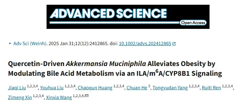 Quercetin gut-liver signaling pathway research
