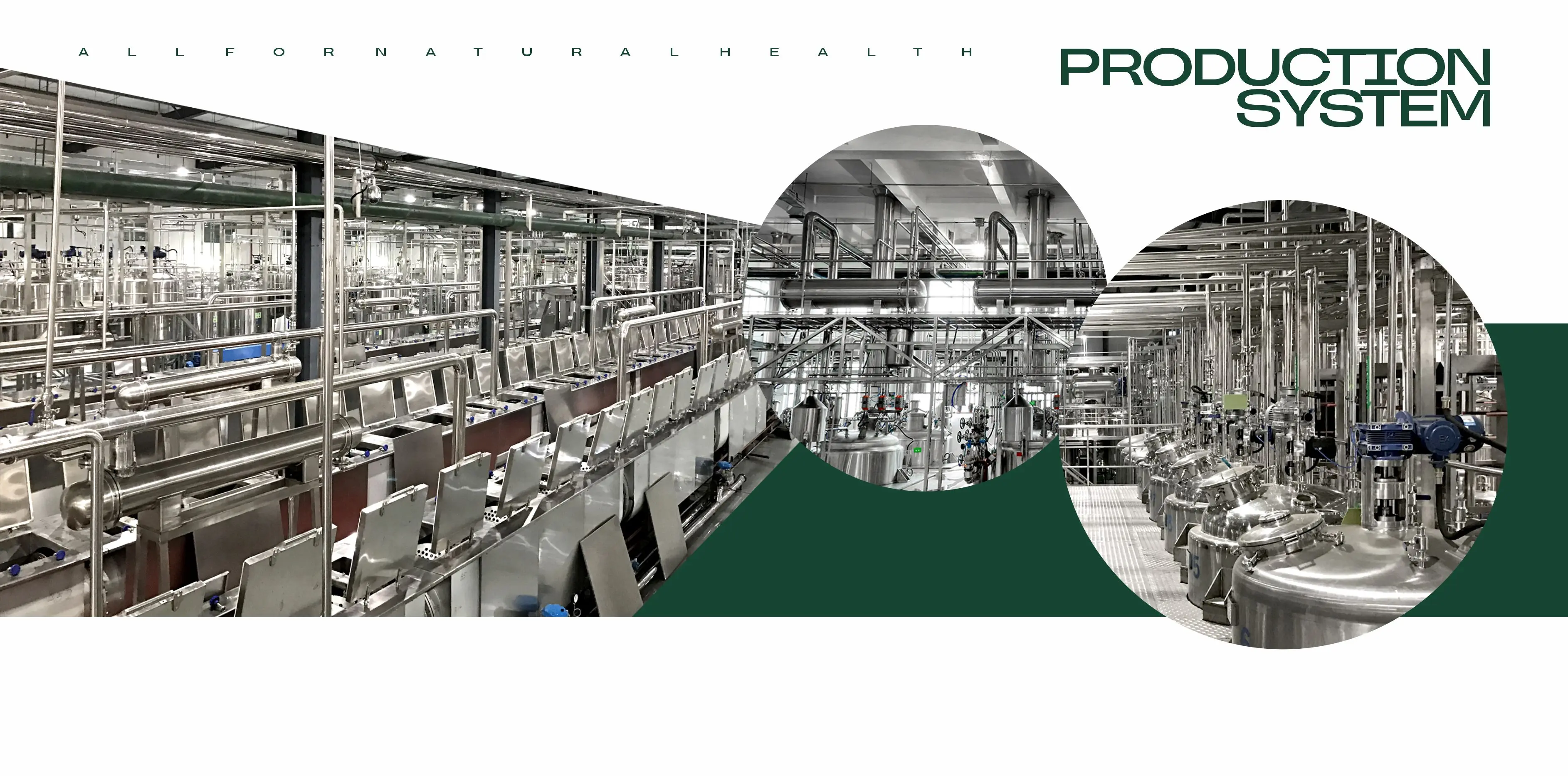 ISO and GMP certified extraction facility using continuous countercurrent extraction