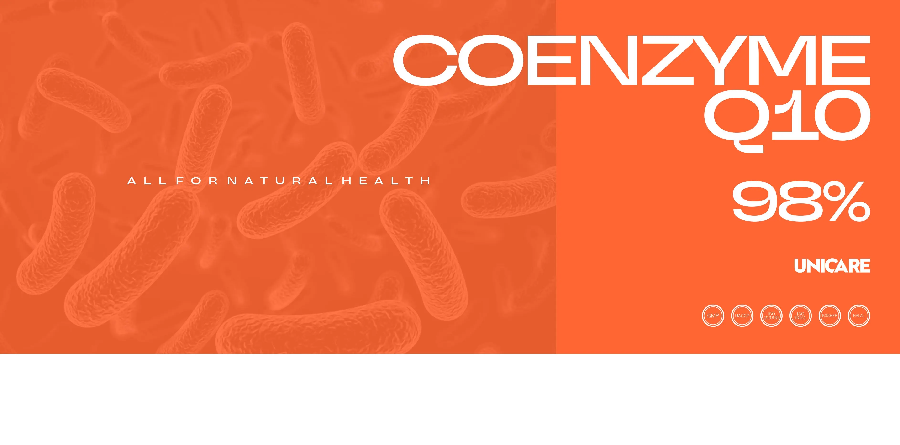 Nutraceutical ingredients including Coenzyme Q10, beta-glucan, PQQ and NMN