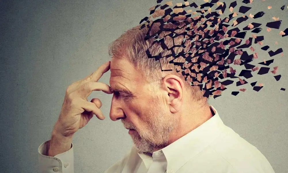 Quercetin research in Alzheimer's disease pathology