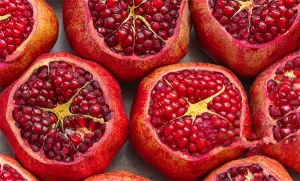 China Pomegranate Extract Exporter, Exporters