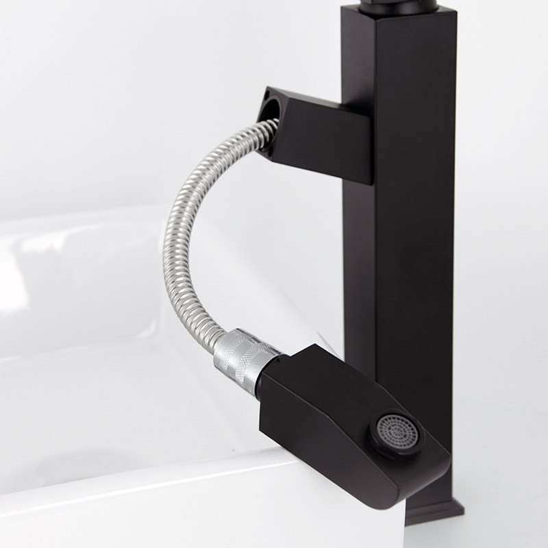 Cheap 5 Stars Hotel Black Stainless Steel Basin Pull Out Faucet Quotes, Products