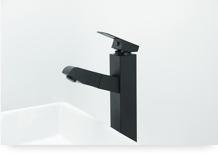 Faucet Feature 5