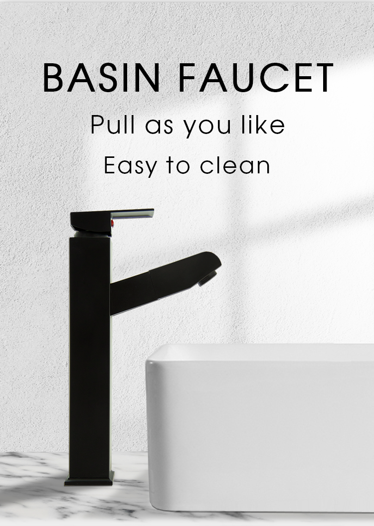 Faucet Feature 1